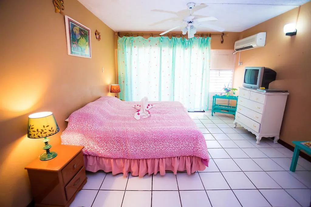Villa Criss Ocho Rios Jamaica