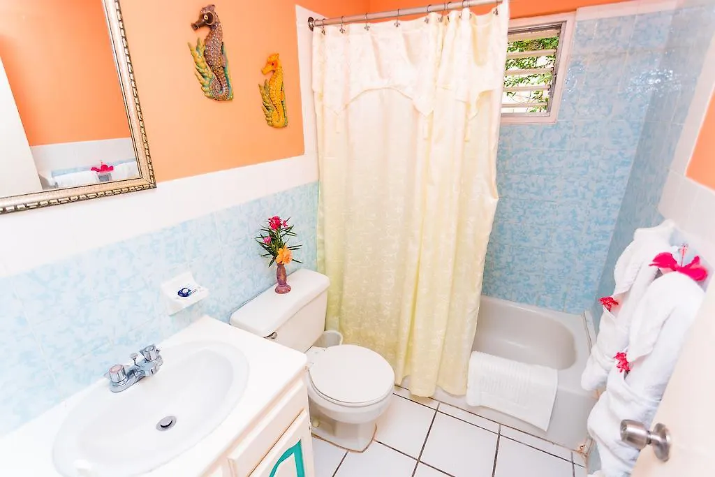 Villa Criss Ocho Rios Apartment