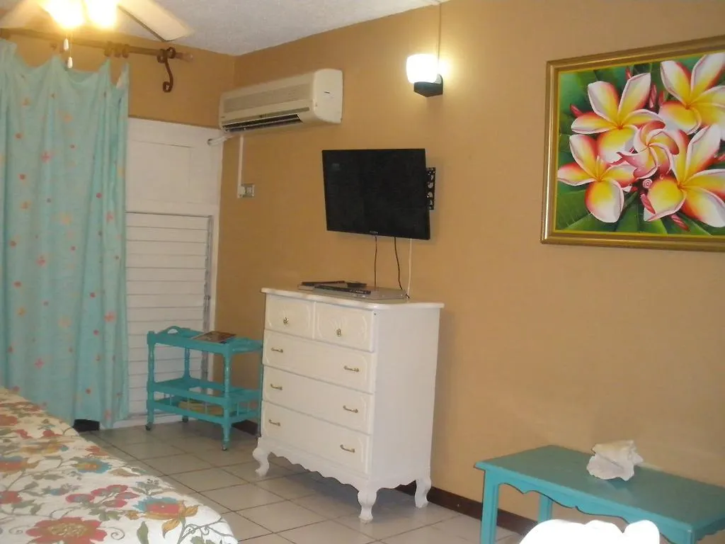 Villa Criss Ocho Rios