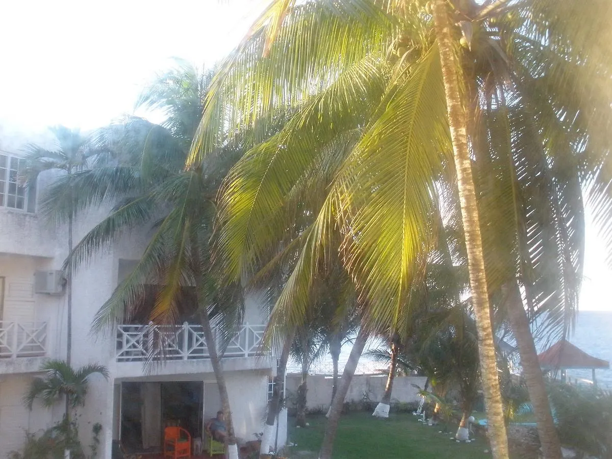 Villa Criss Ocho Rios Apartment